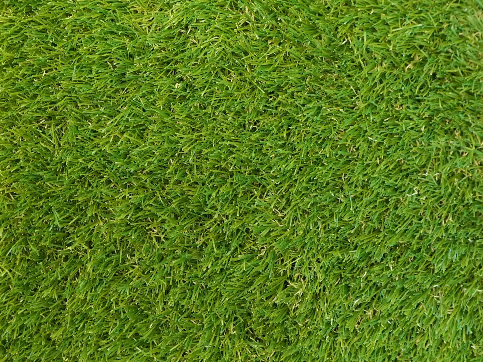 継ぎ目のない GREEN VIGOR の芝面。パイルの流れがひと続きに見える