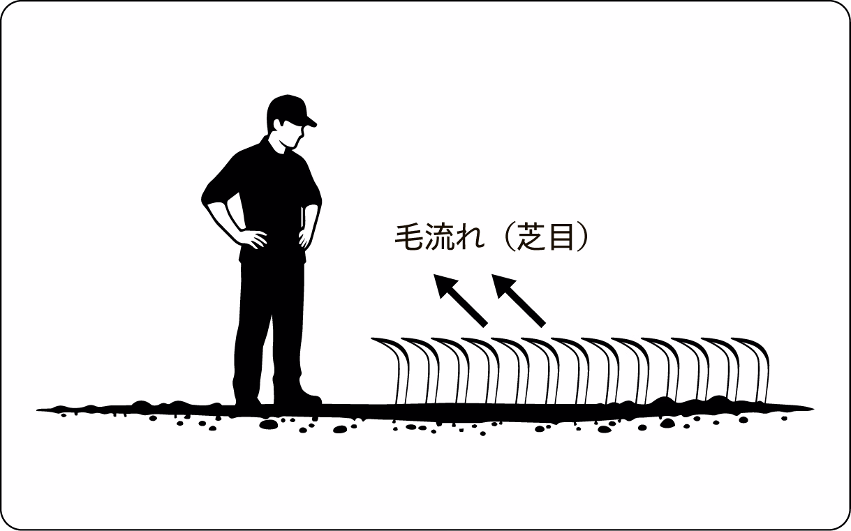 人工芝の毛流れ（芝目）の向きを、庭を眺めるメインの場所から確認している図