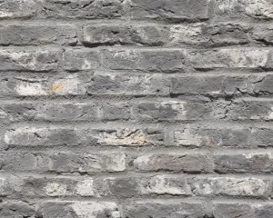 ブリック｜煉瓦 ブリックタイル CAN'BRICK - AMSTERDAM(アムステルダム（AM）)