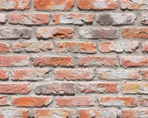 ブリック｜煉瓦 ブリックタイル CAN'BRICK - AMSTERDAM(アムステルダム（AM）)