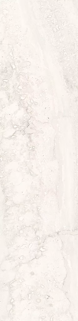 INVICTUS WHITE 730