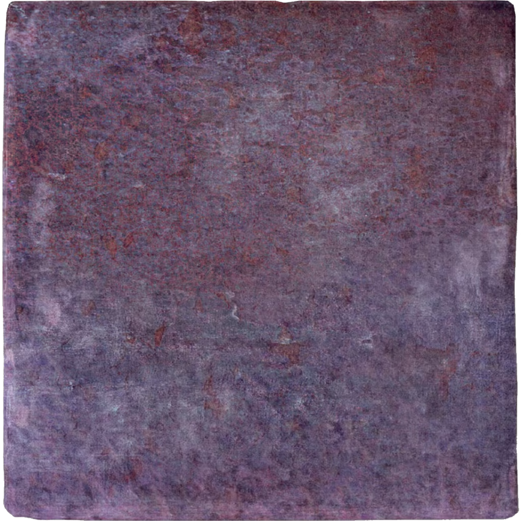 DYROY AUBERGINE/10X10