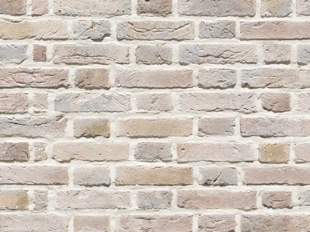 ネザーランド（NL）